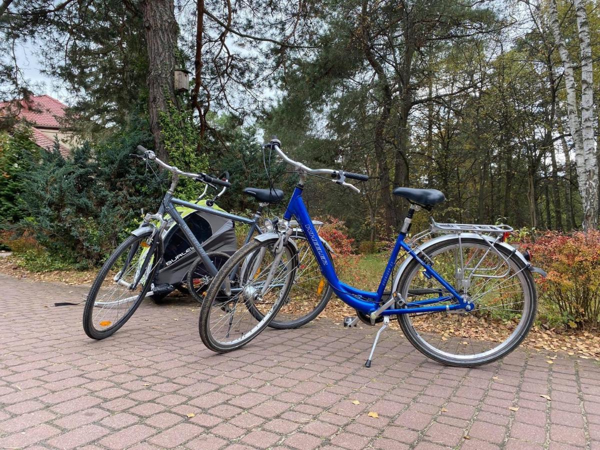 Park Rekreacyjno-Biznesowy Las Woda Wilga Εξωτερικό φωτογραφία