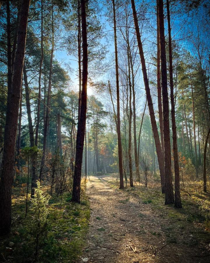 Park Rekreacyjno-Biznesowy Las Woda Wilga Εξωτερικό φωτογραφία