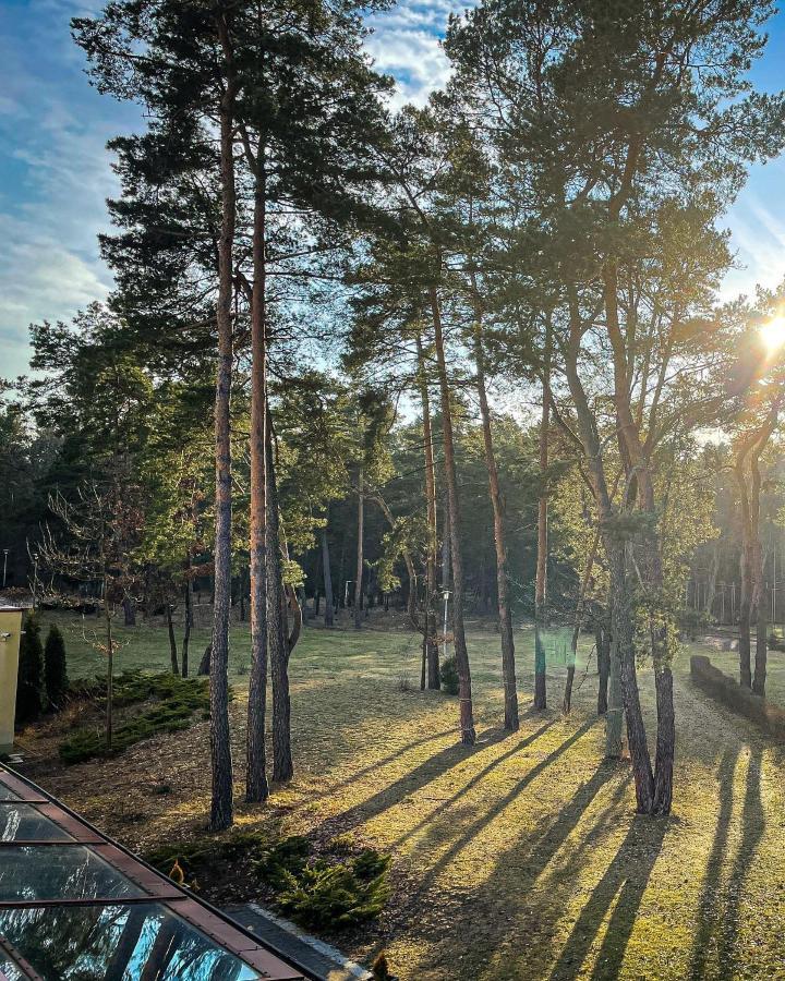 Park Rekreacyjno-Biznesowy Las Woda Wilga Εξωτερικό φωτογραφία
